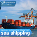 Top 10 sea/ ocean shipping agency from China to usa, UK . Germany amazon FBA with DDP price